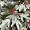 7.5ft. Pre-Lit Flocked Halifax Fir Artificial Christmas Tree, Clear Lights